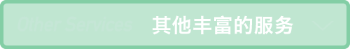 其他丰富的服务