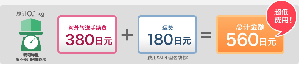 总计0.1kg 海外转送手续费380日元+运费180日元=总计金额560日元