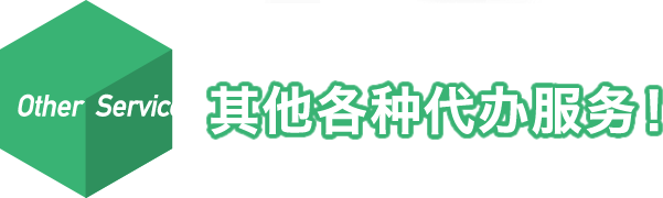 Other Services 其他各种代办服务!