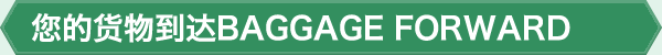 您的货物到达BAGGAGE FORWARD