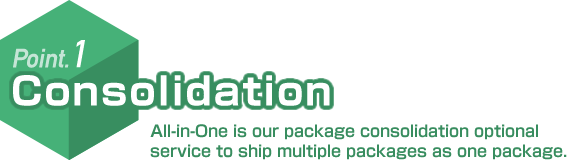 Point.1 Consolidation All-in-One is our package consolidation optional service to ship multiple packages as one package.