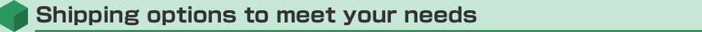Shipping options to meet your needs