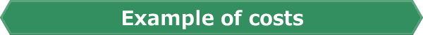 Example of costs