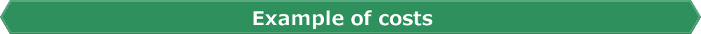 Example of costs