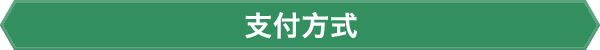支付方式