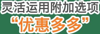 灵活运用附加选项“优惠多多”