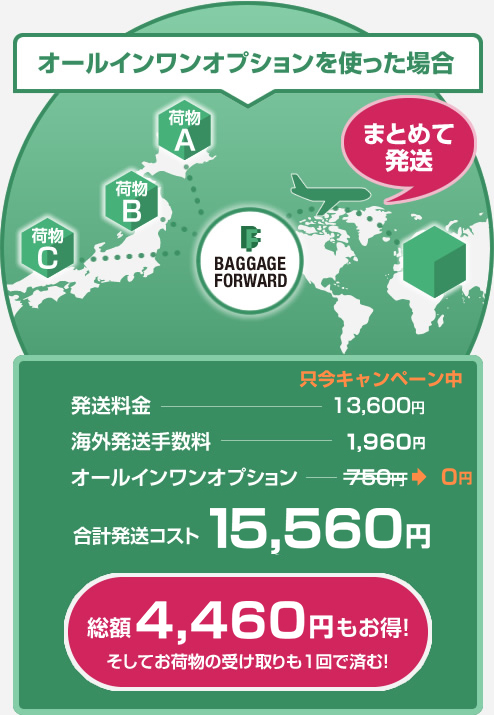 オールインワンオプションを使った場合