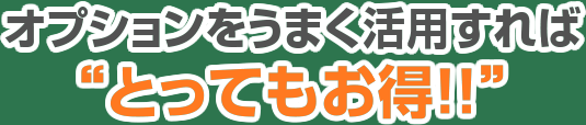 オプションをうまく活用すれば“とってもお得!!”
